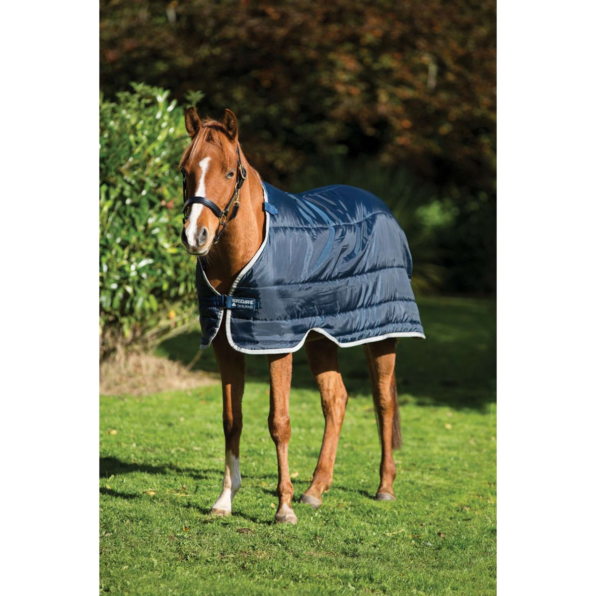 Horseware Liner Pony 300g Blu marino/Argento