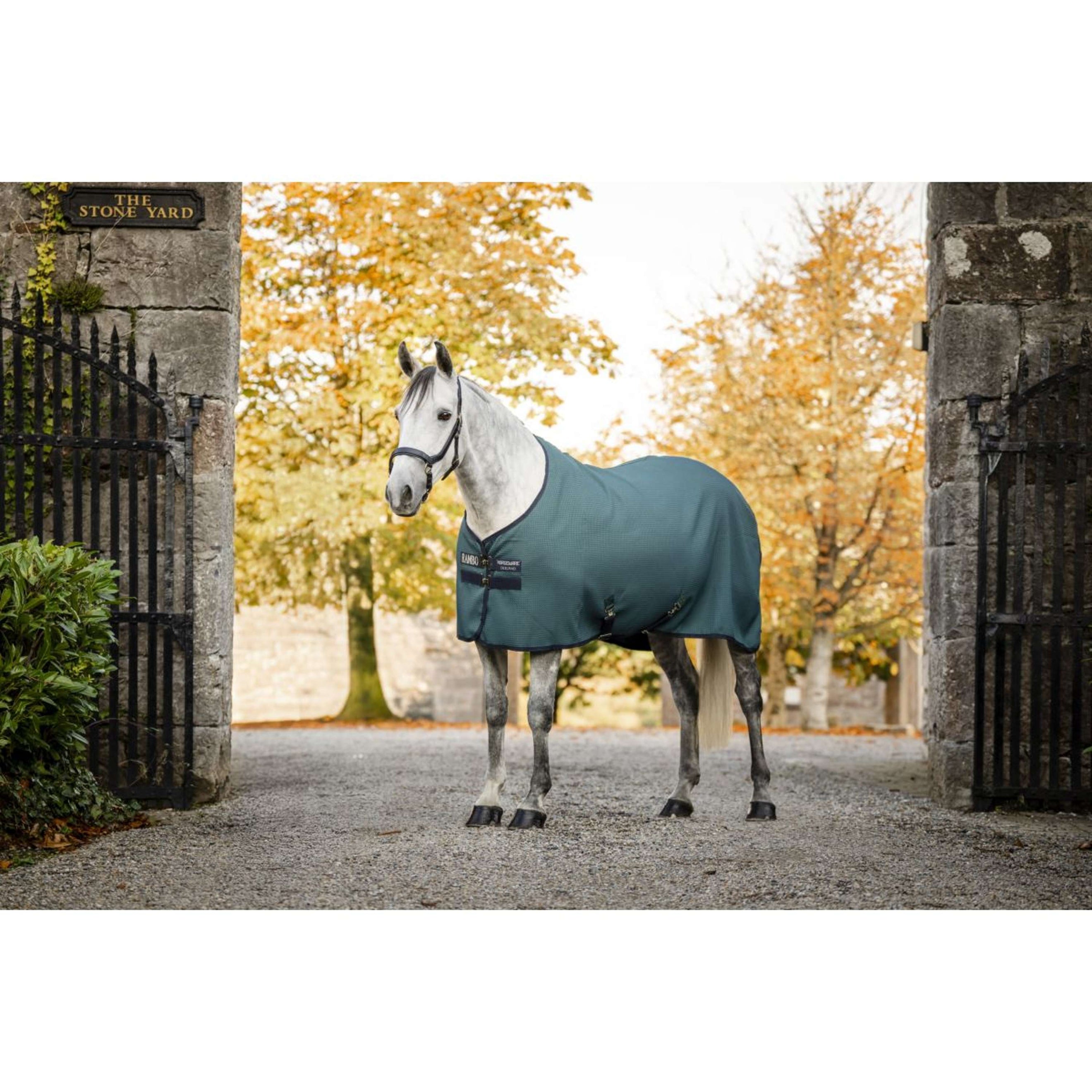 Rambo Waffle Cooler Techni Dynasty Green/Navy/Silver Rambo Waffle Cooler Techni Dynasty Green/Navy/Silver