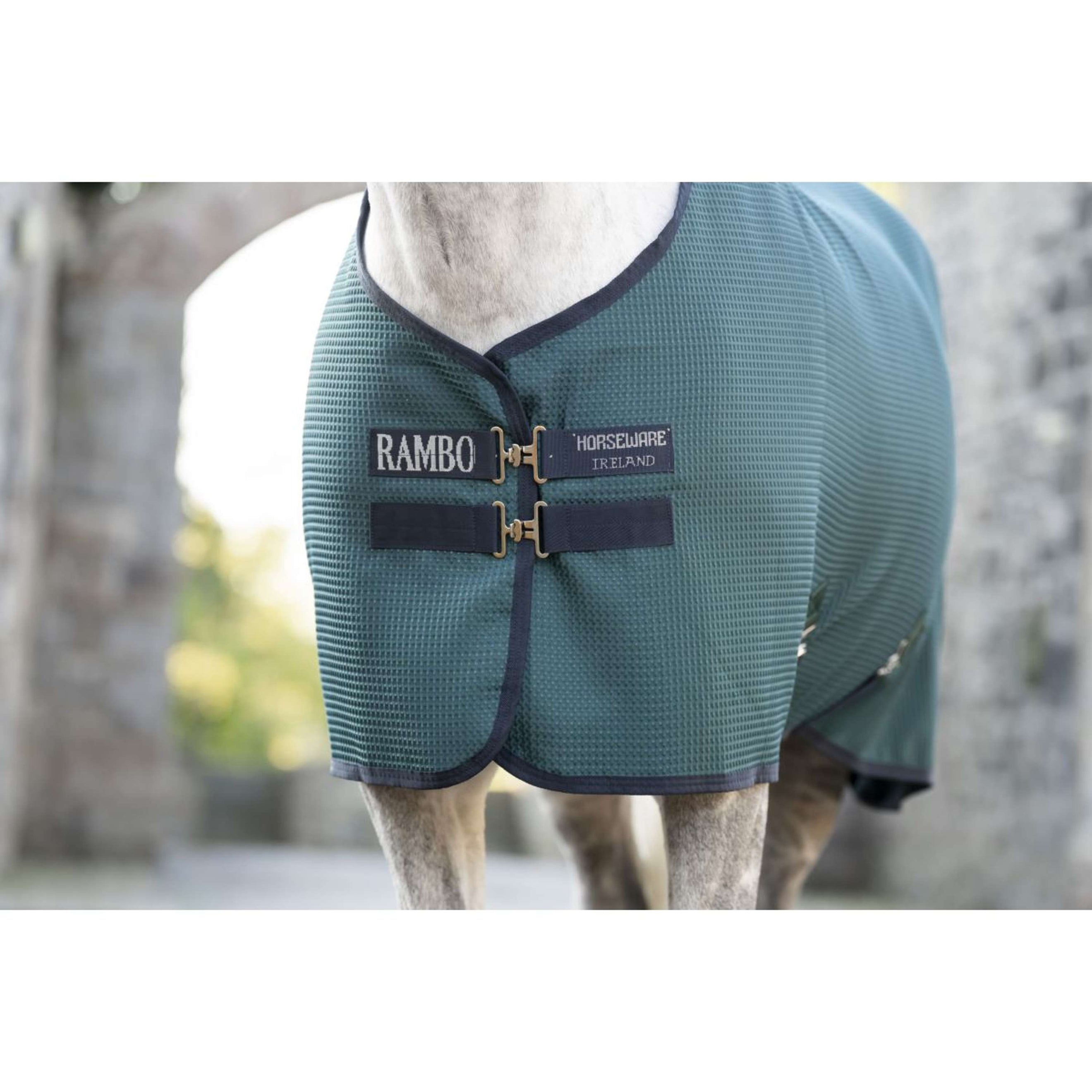 Rambo Waffle Cooler Techni Dynasty Green/Navy/Silver Rambo Waffle Cooler Techni Dynasty Green/Navy/Silver