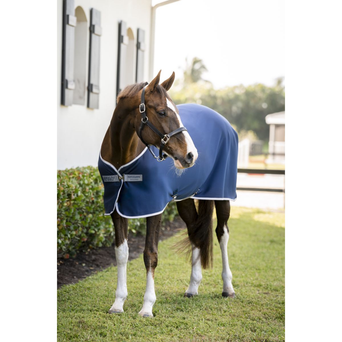 Amigo Jersey Cooler Blu marino/Grigio titanio/Argento