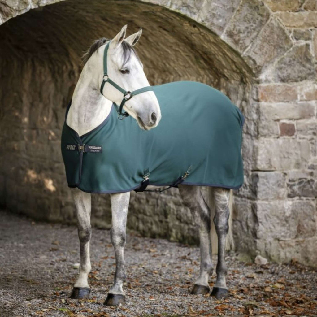 Amigo Jersey Cooler Dynasty Green/Navy/Silver