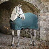Amigo Coperta Rinfrescante Jersey për Pony Dynasty Green/Navy/Silver