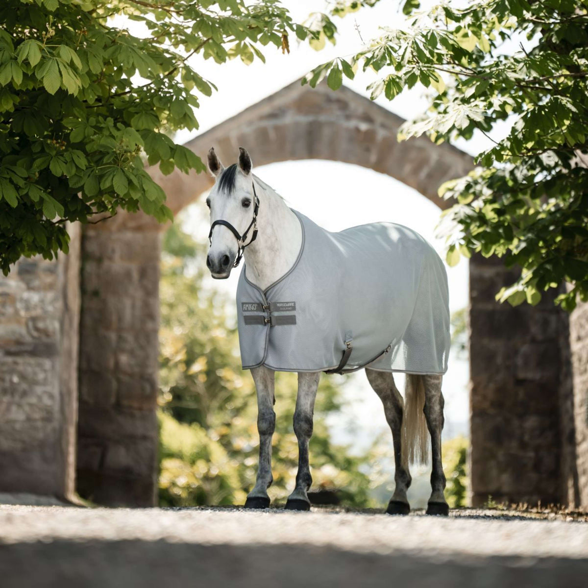 Amigo AirNet Cooler Heather Blue/Titanium Grey/Silver