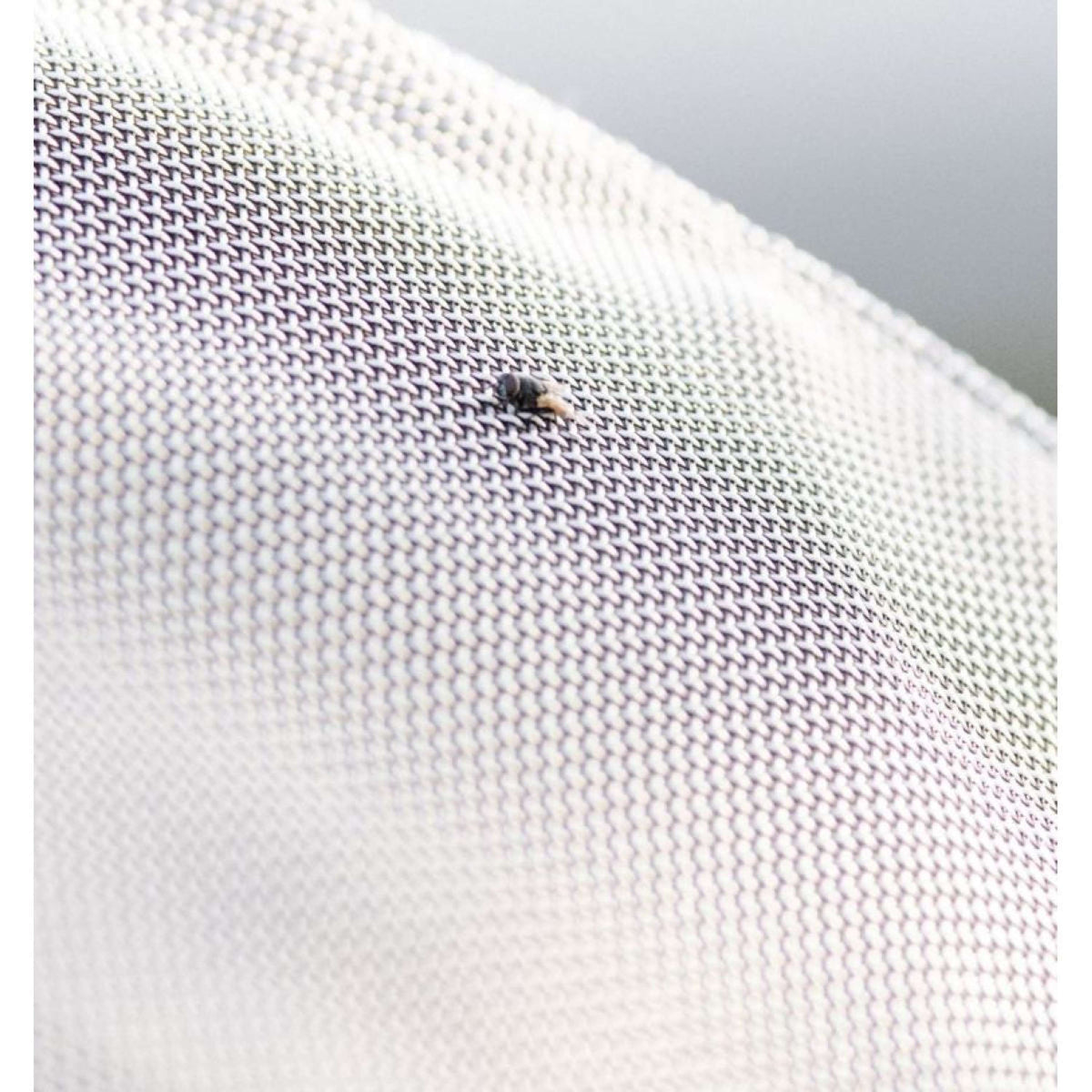 Rambo Protettore Fieldsafe Argento/Blu scuro/Bianco/Beige