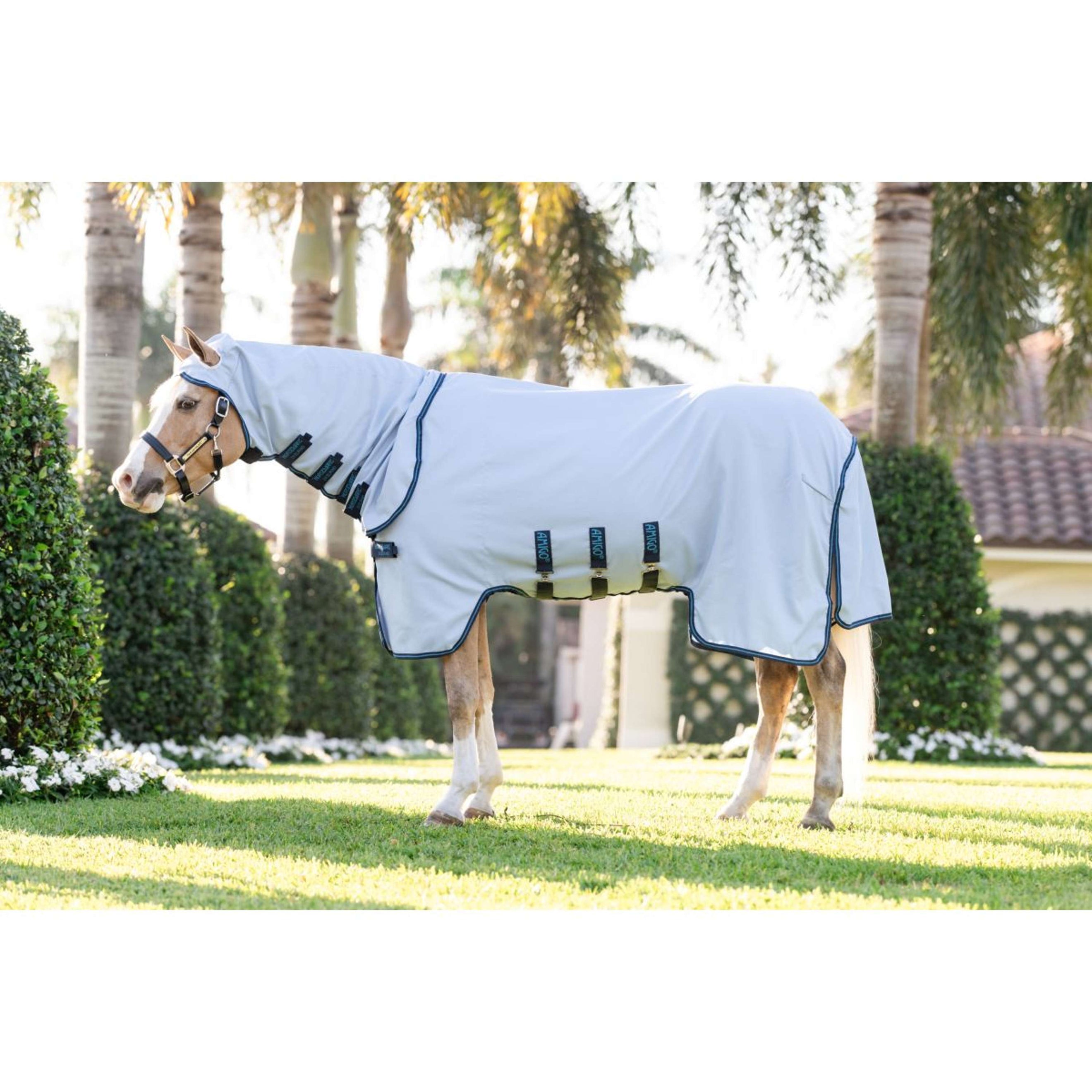 Amigo Felpa con cappuccio Ripstop Pony Azure Blue/Navy/Electric Blue Amigo Felpa con cappuccio Ripstop Pony Azure Blue/Navy/Electric Blue