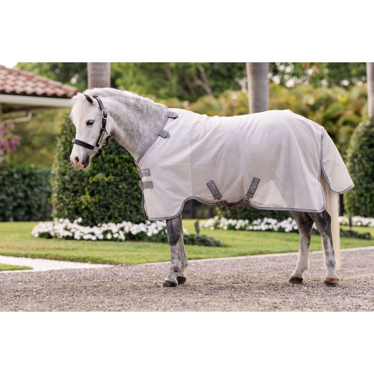 Amigo Bug Rug Plus Pony Argento/Grigio Titanio/Argento