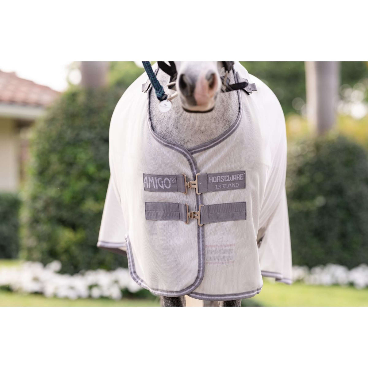 Amigo Bug Rug Plus Pony Argento/Grigio Titanio/Argento