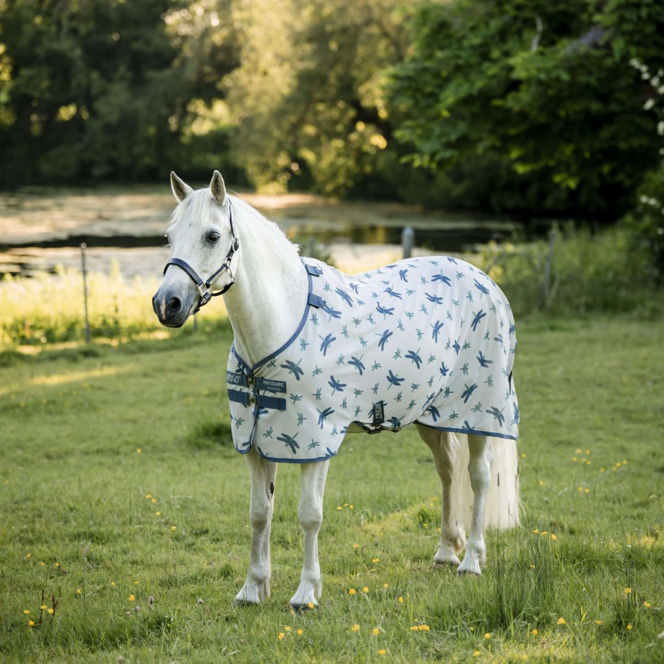 Amigo Bug Rug Pony Dragonfly Print/Silver/Blue/Sage Amigo Bug Rug Pony Dragonfly Print/Silver/Blue/Sage