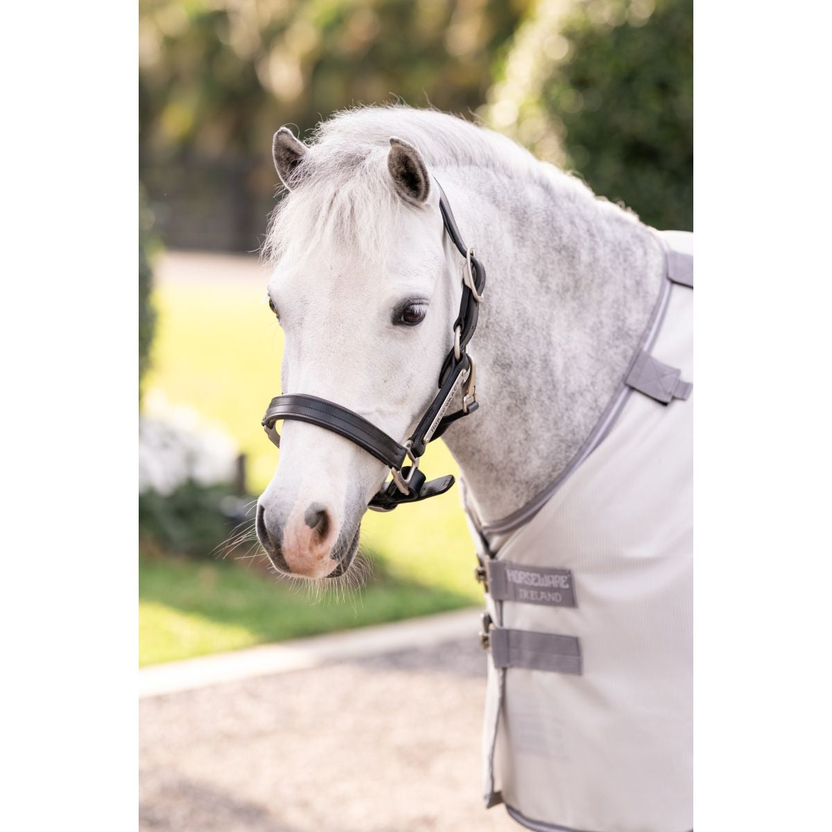 Amigo Bug Rug Pony Argento/Grigio Titanio/Argento