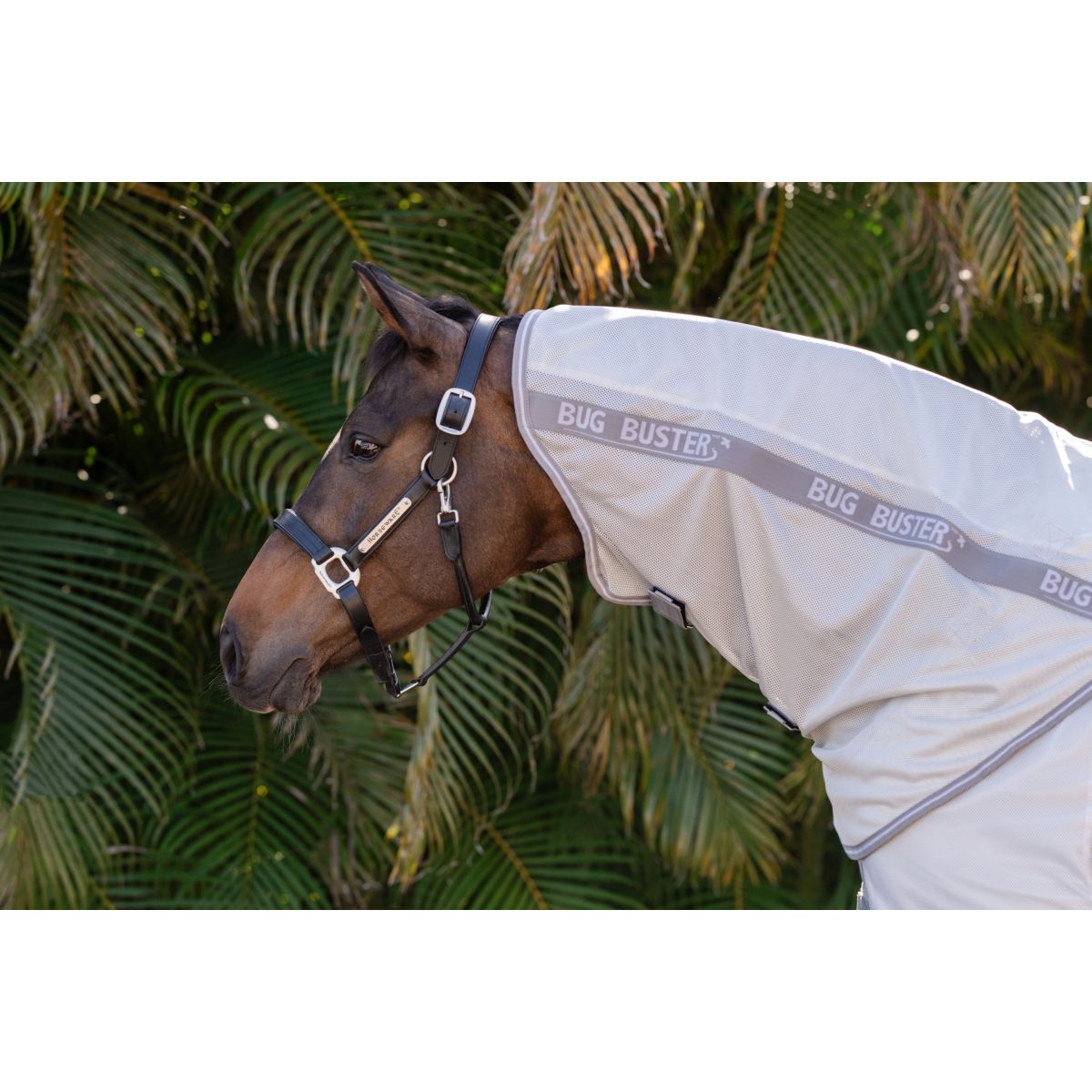 Amigo Copricollo Bug Buster Argento/Grigio Titanio/Argento