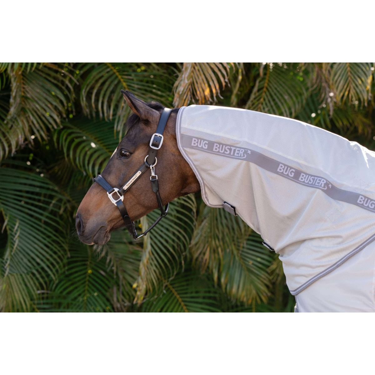 Amigo Copricollo Bug Buster Argento/Grigio Titanio/Argento