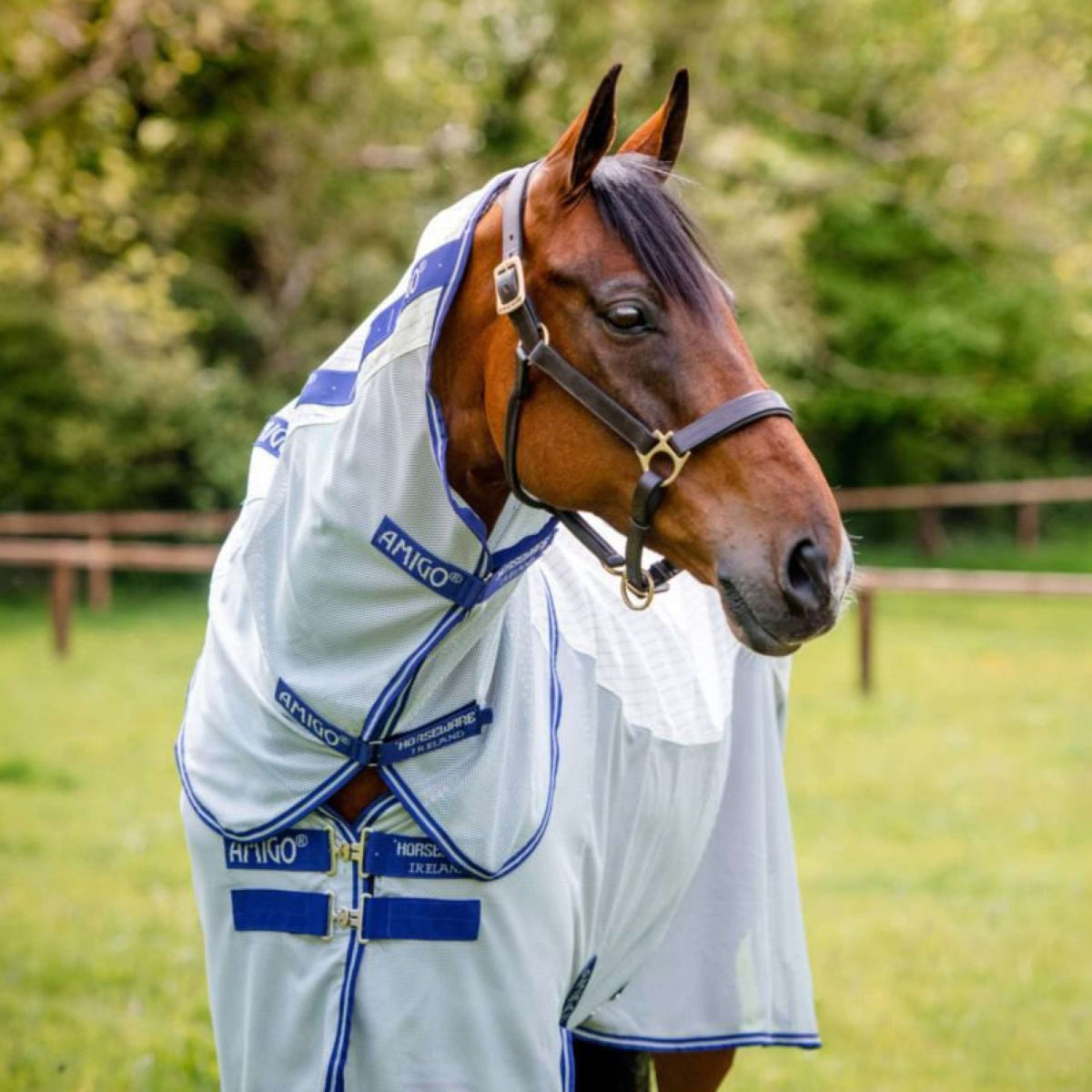 Amigo Coperta Estiva Airflow Navy Check/Atlantic Blue