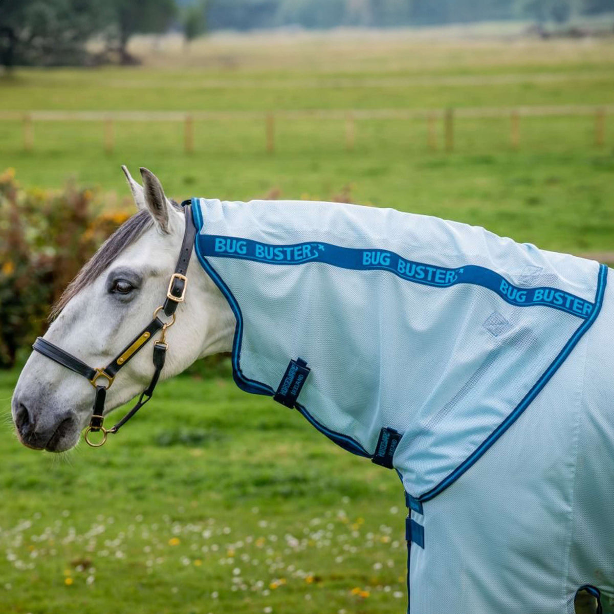 Amigo Bug Buster Plus Azure Blue/Navy/Electric Blue