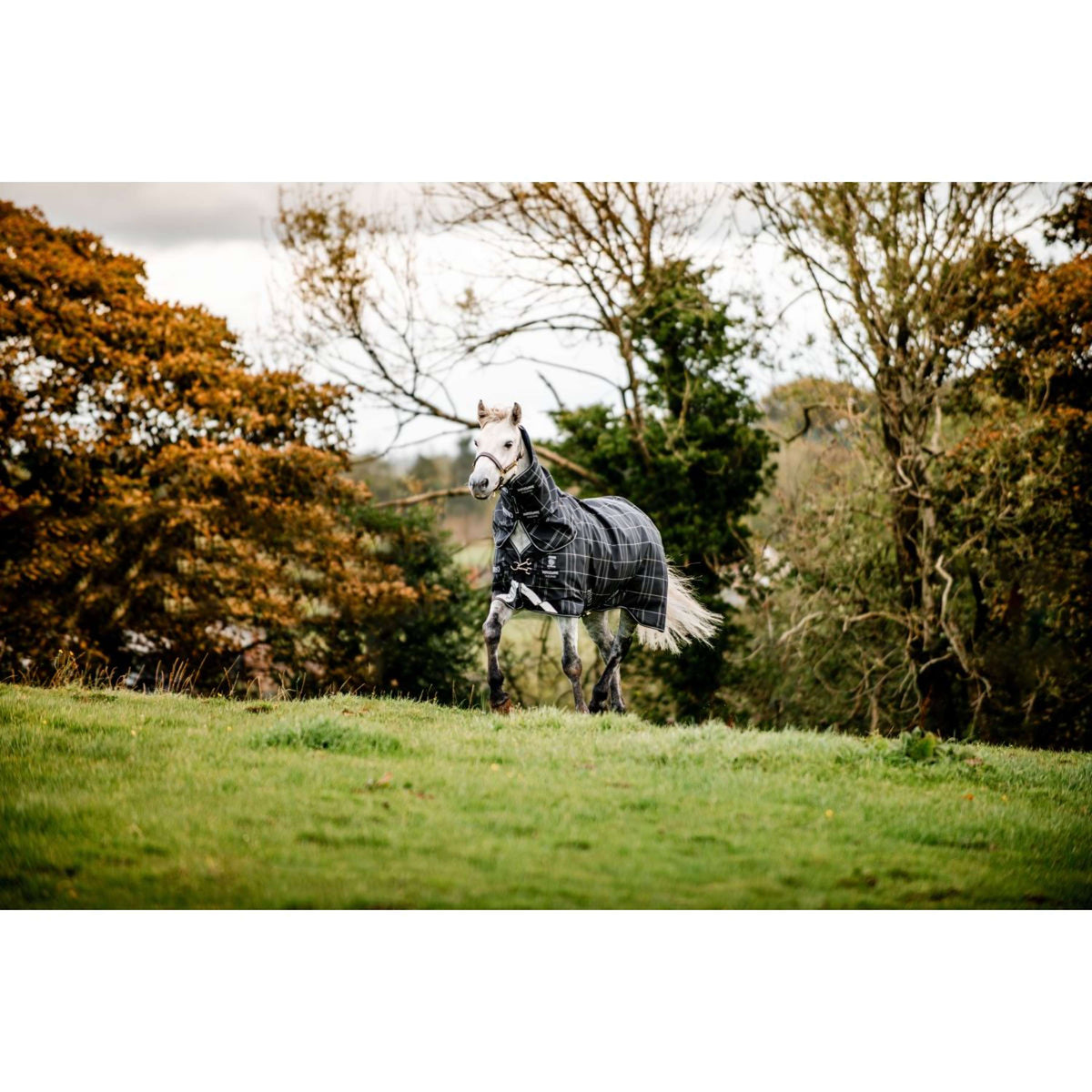 Rhino Turnout Plus Pony Bundle 0g + 200g Nero a quadri/nero/bianco