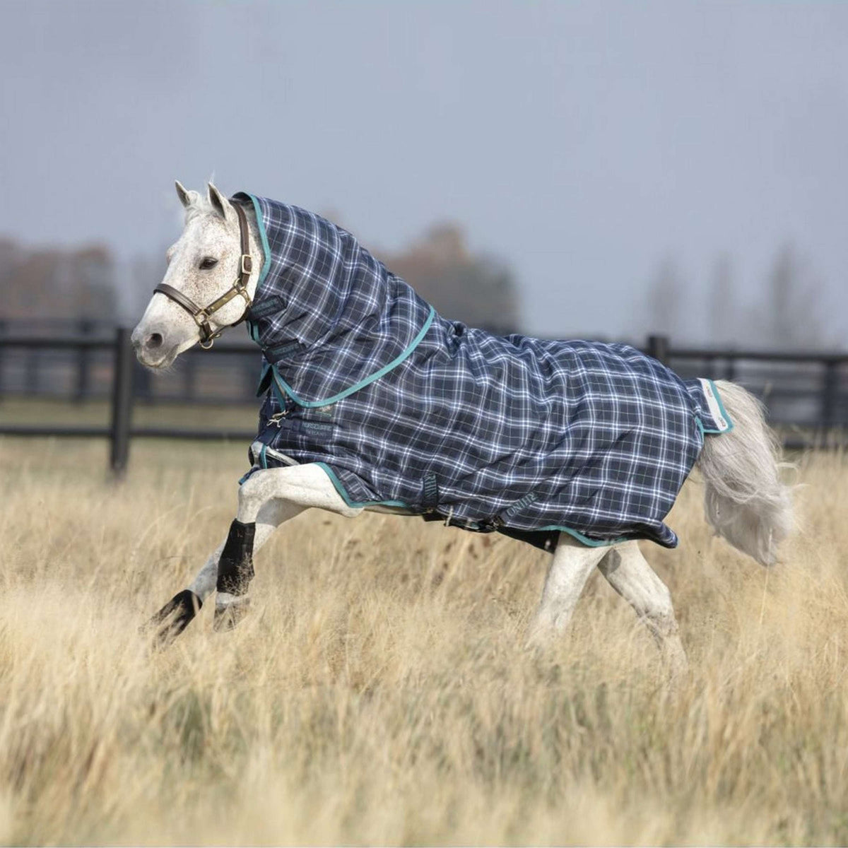 Rhino by Horseware Pony Plus medio