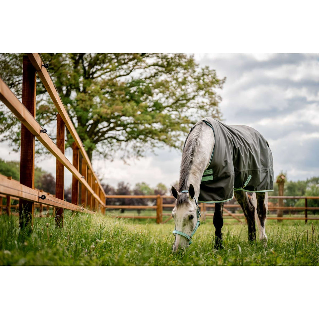 Horseware Cavezza Field Safe Blue Haze