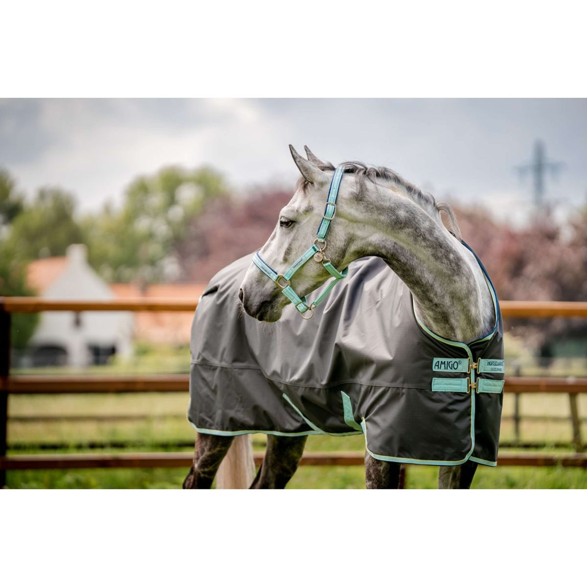 Horseware Capezzina Field Safe Blue Haze