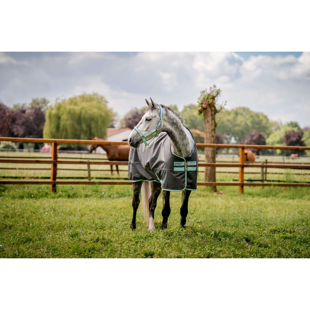 Horseware Cavezza Field Safe Blue Haze