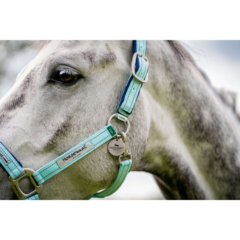 Horseware Cavezza Field Safe Blue Haze