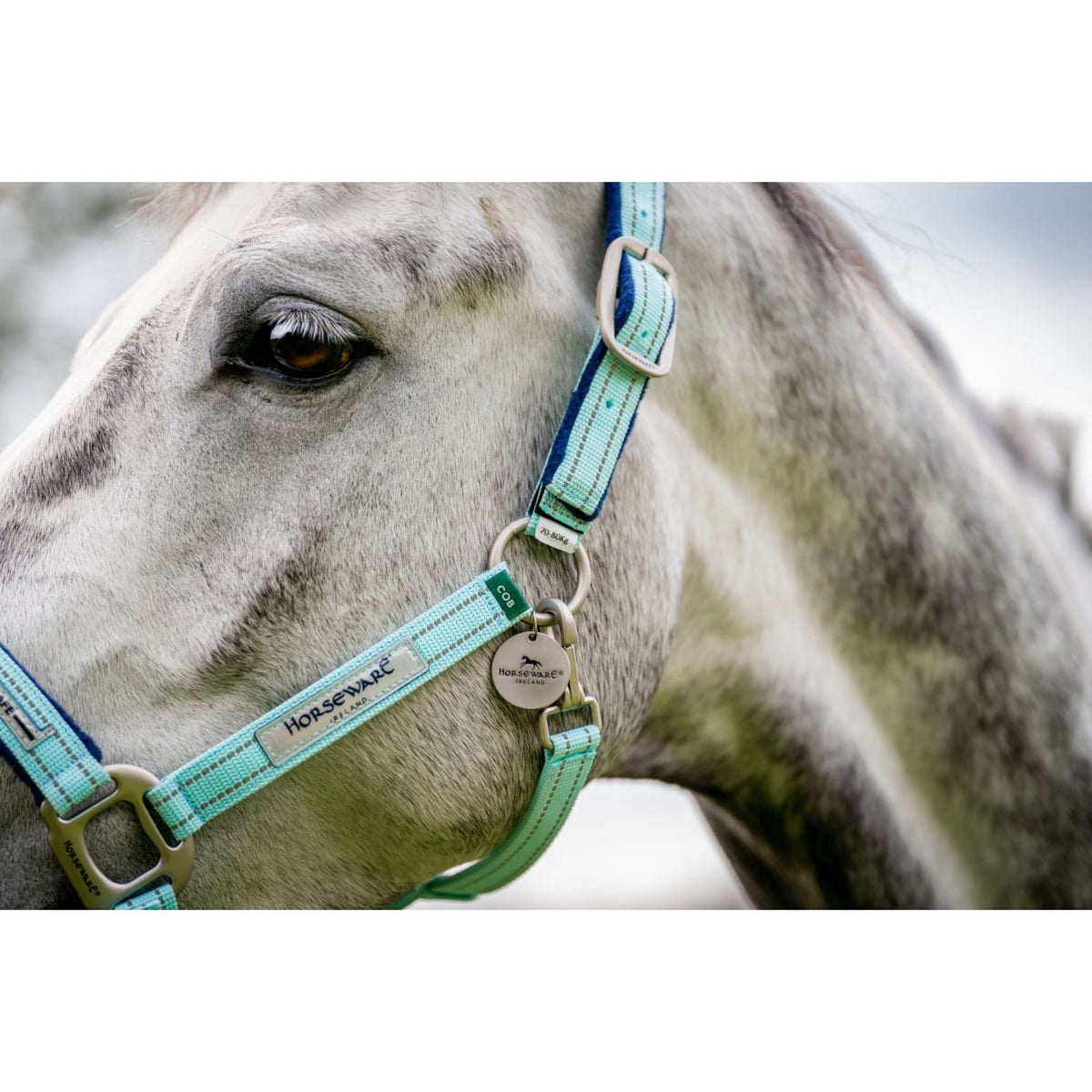 Horseware Capezzina Field Safe Blue Haze