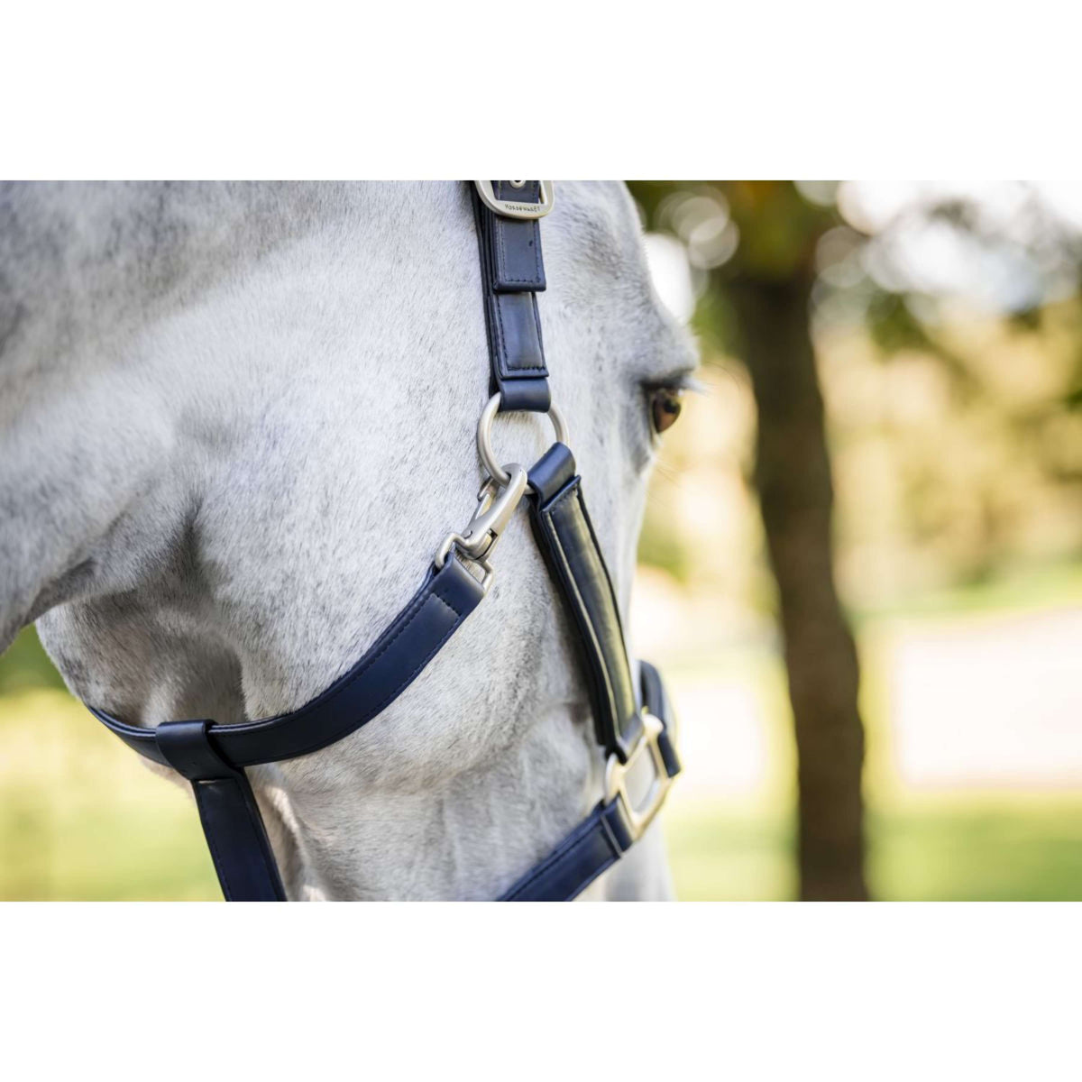 Horseware Cavezza Grooming Navy