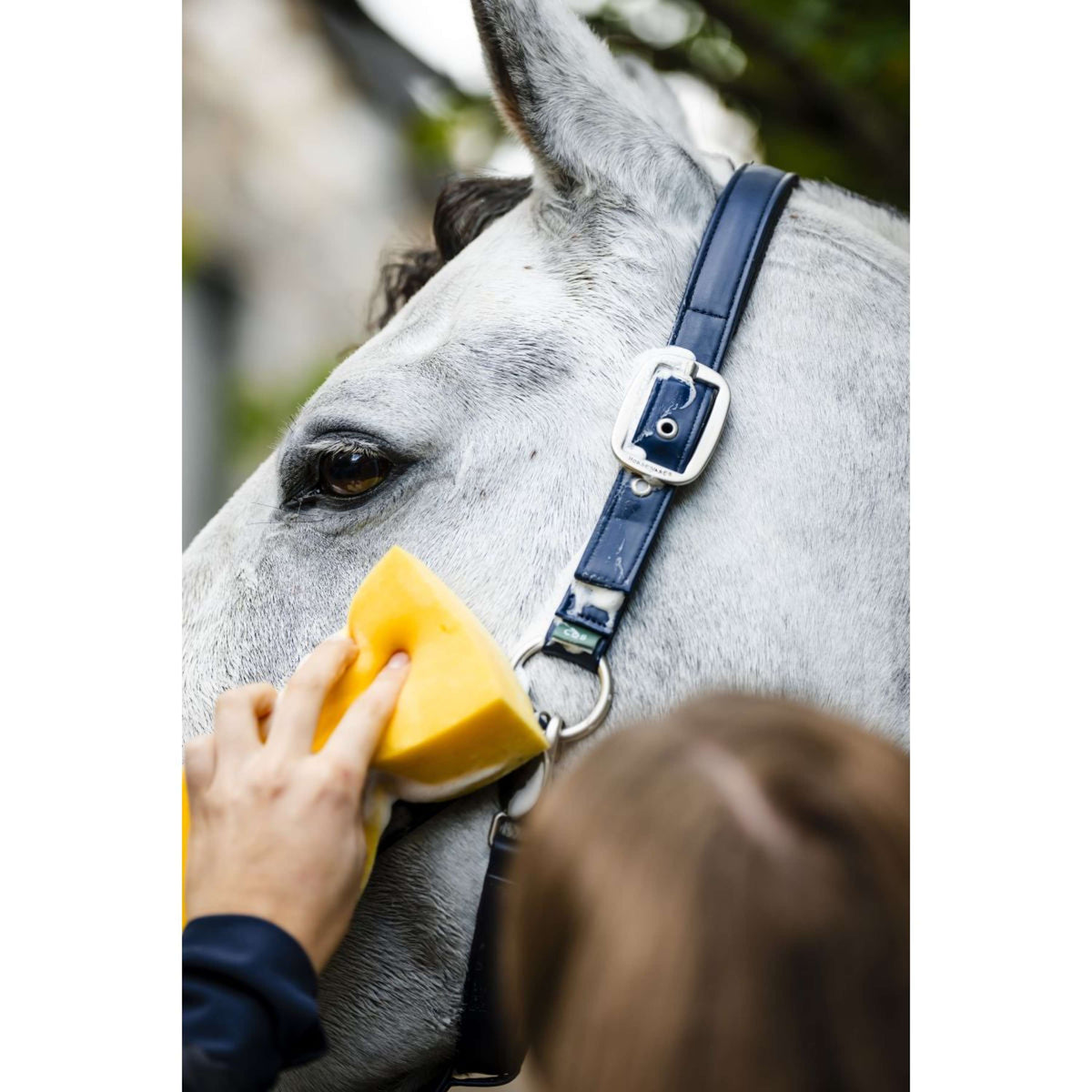 Horseware Cavezza Grooming Navy
