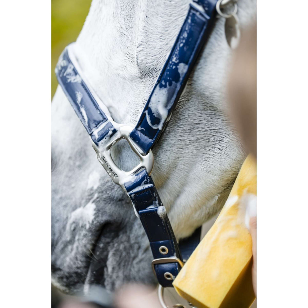 Horseware Cavezza Grooming Navy