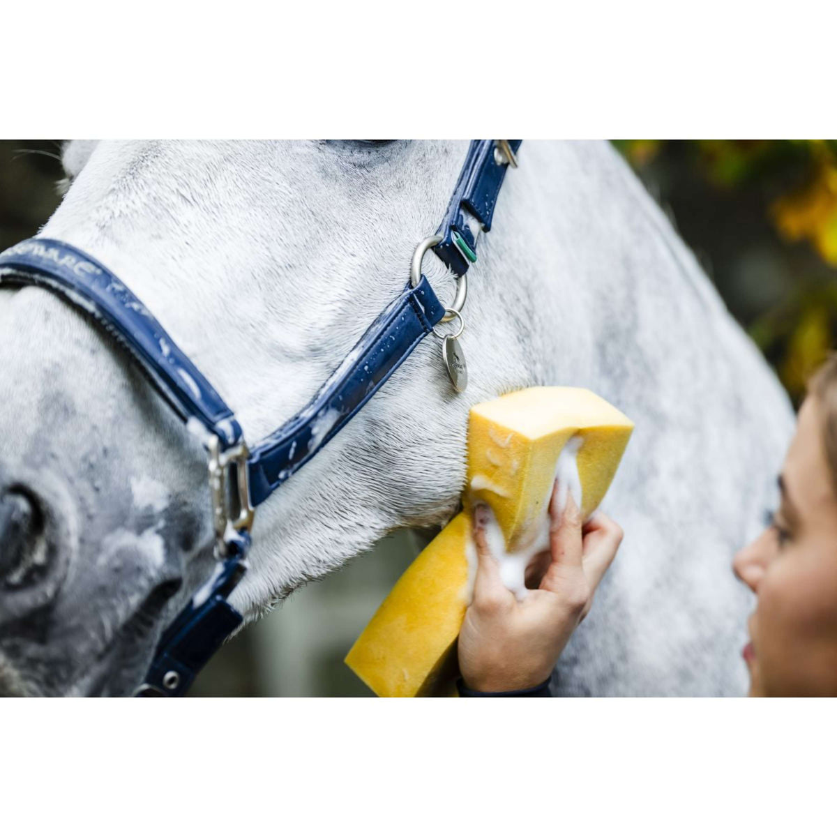 Horseware Cavezza Grooming Navy