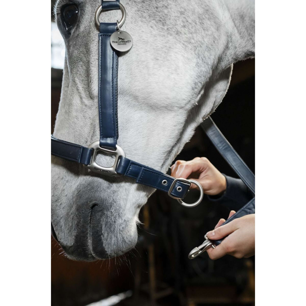 Horseware Cavezza Grooming Navy