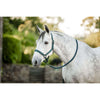Amigo Cavezza e corda Dynasty Green