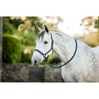 Amigo Cavezza e corda Dynasty Green