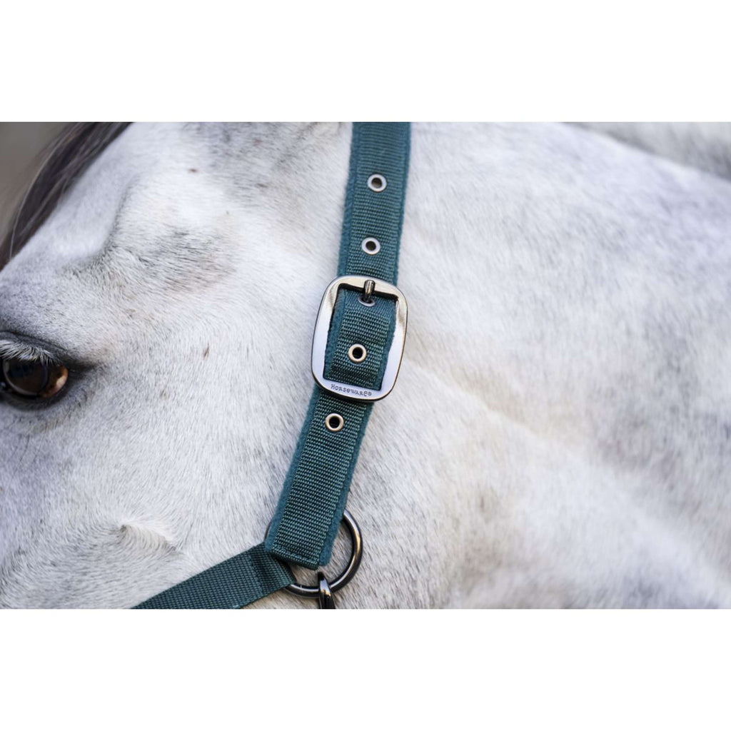 Amigo Cavezza e corda Dynasty Green