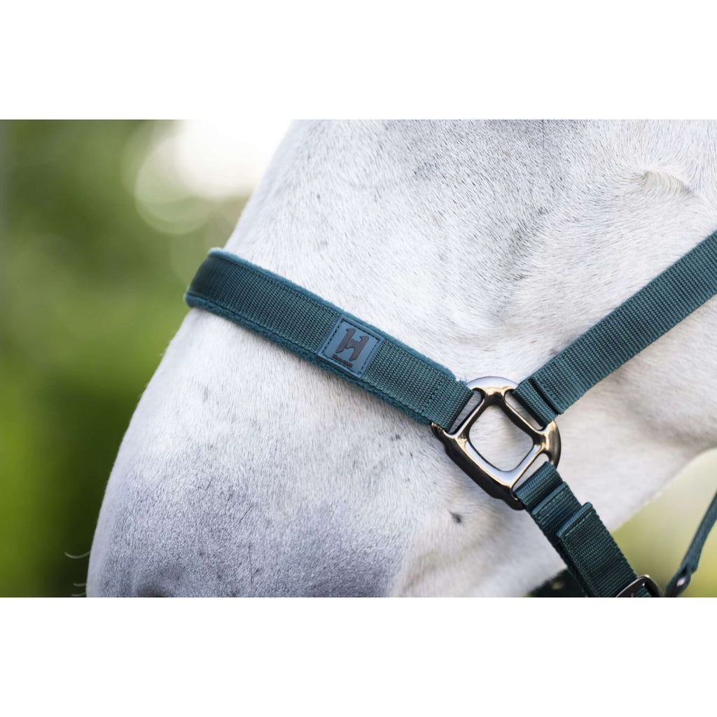 Amigo Cavezza e corda Dynasty Green