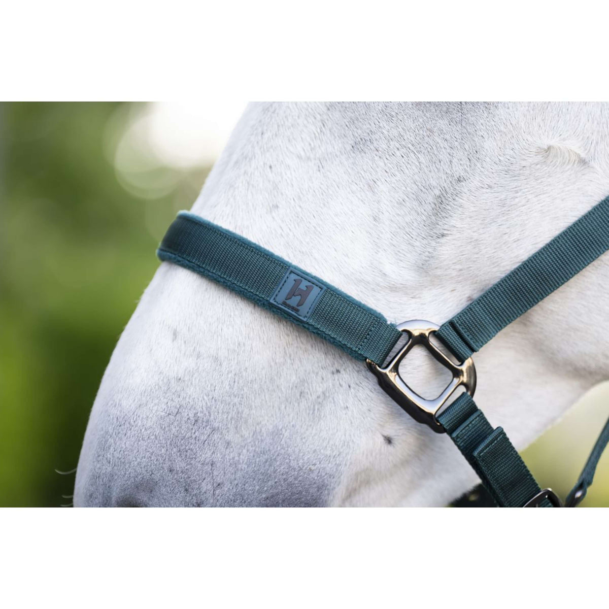 Amigo Capestro e Longhina Dynasty Green