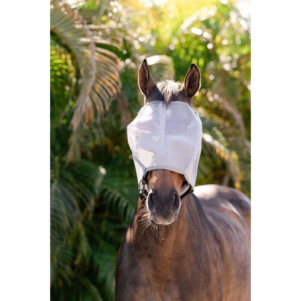 Amigo Maschera per Mosche Senza orecchie Argento/Grigio Titanio/Argento
