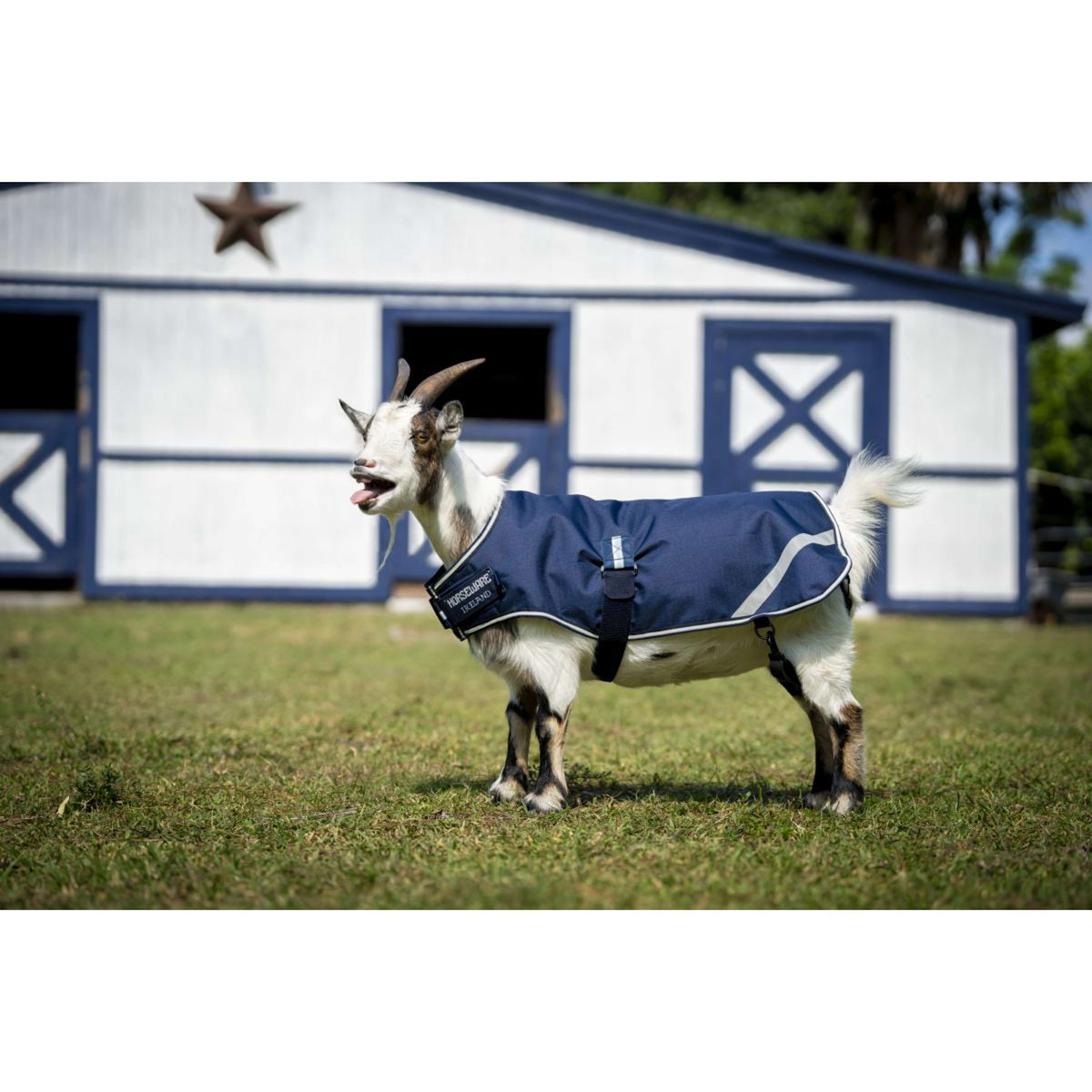 Horseware Goat Coat 200g Marina di Witney