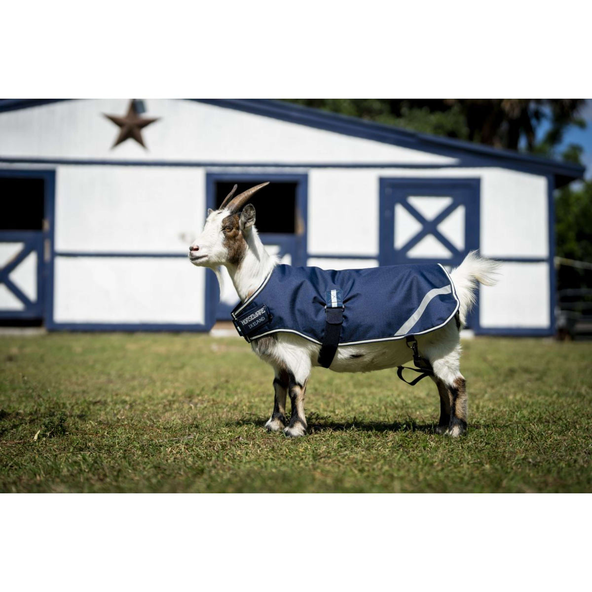 Horseware Goat Coat 200g Marina di Witney