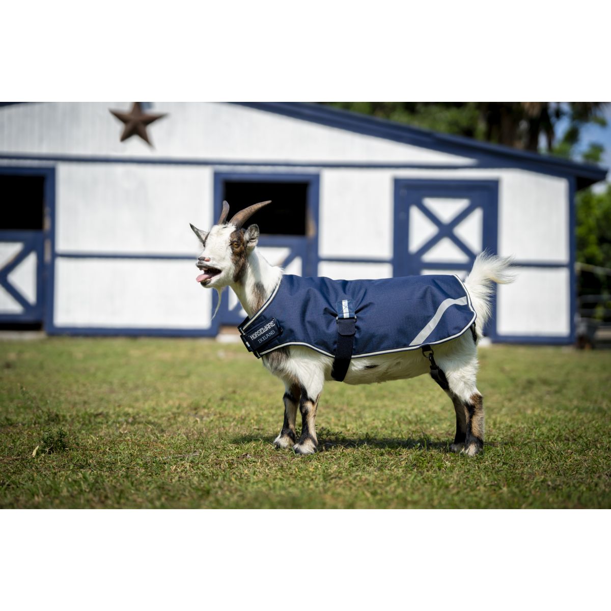 Horseware Goat Coat 200g Marina di Witney