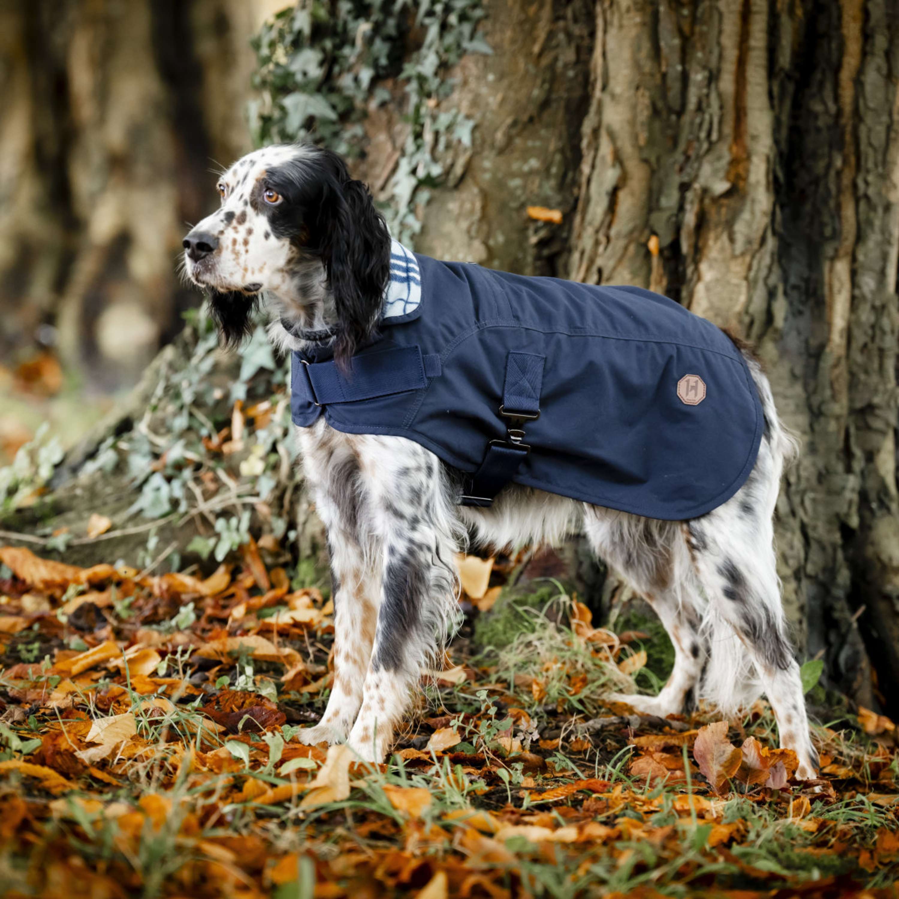 Horseware Cappotto per cani Newmarket Hertitage Navy/Witney Navy