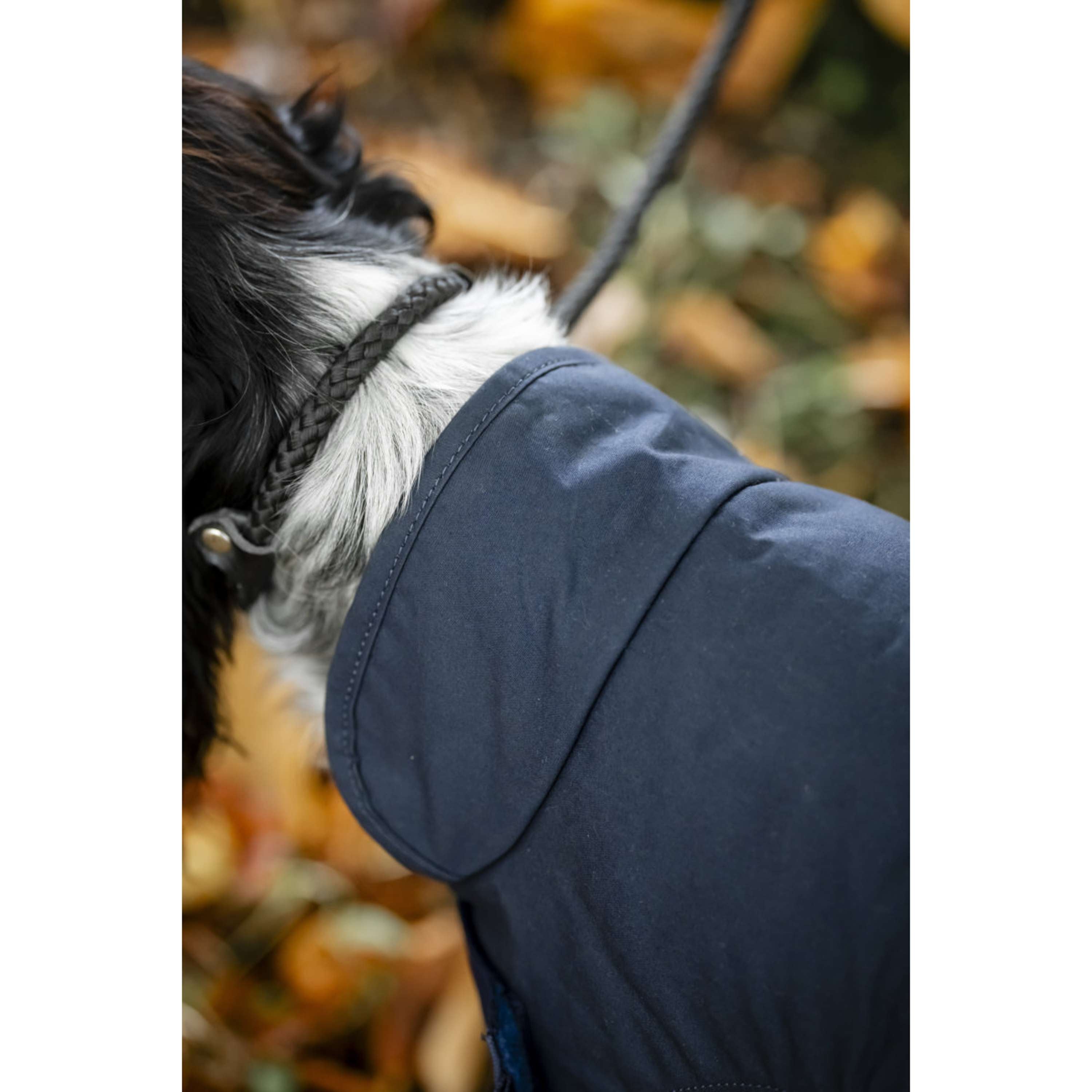 Horseware Cappotto per cani Newmarket Hertitage Navy/Witney Navy