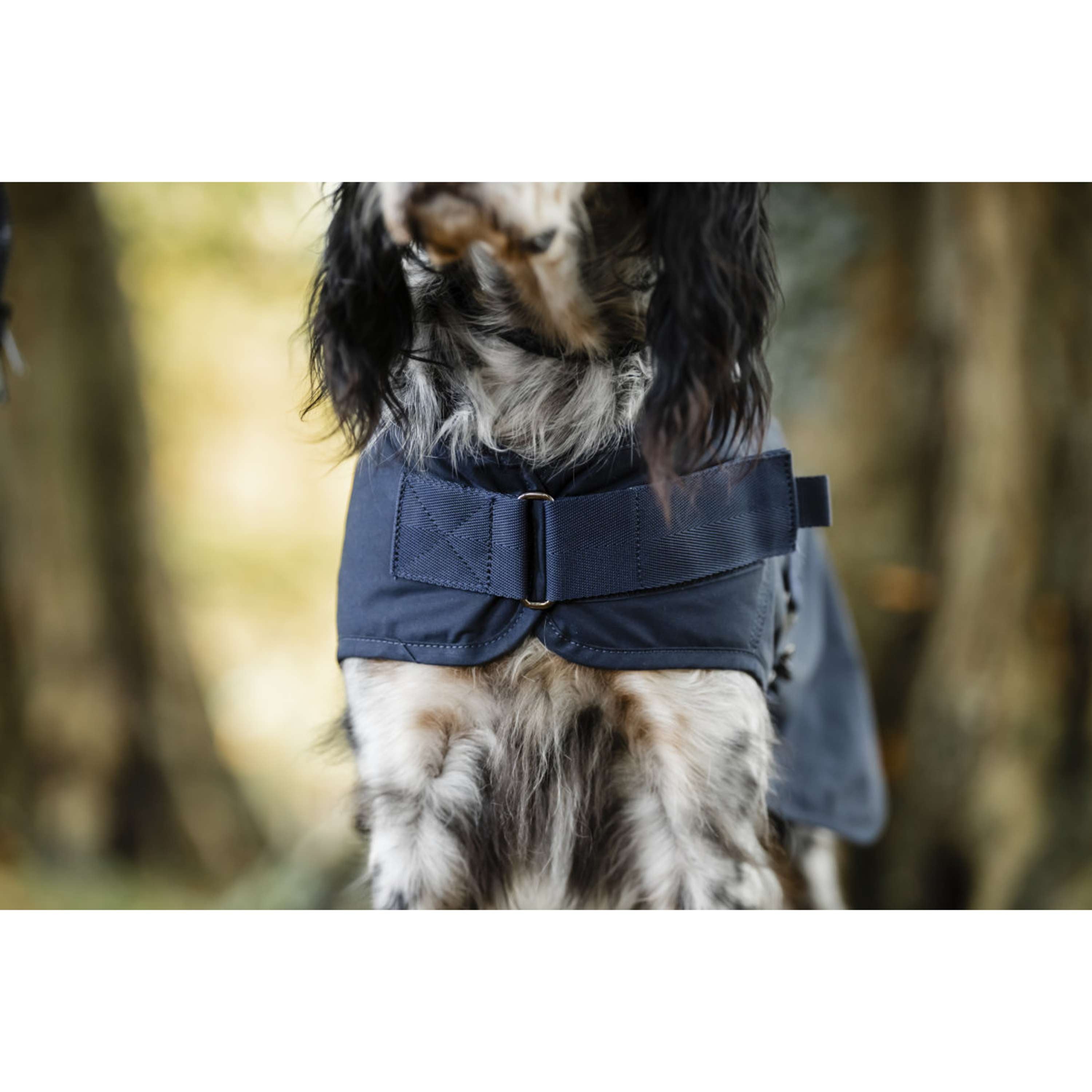 Horseware Cappotto per cani Newmarket Hertitage Navy/Witney Navy