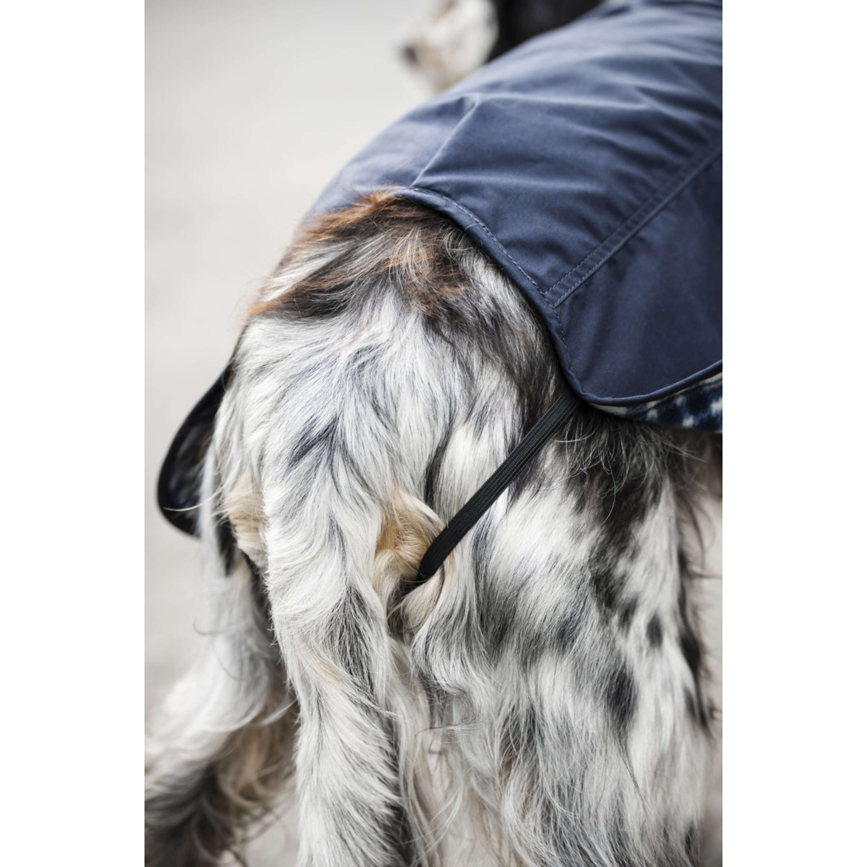 Horseware Cappotto per cani Newmarket Hertitage Navy/Witney Navy