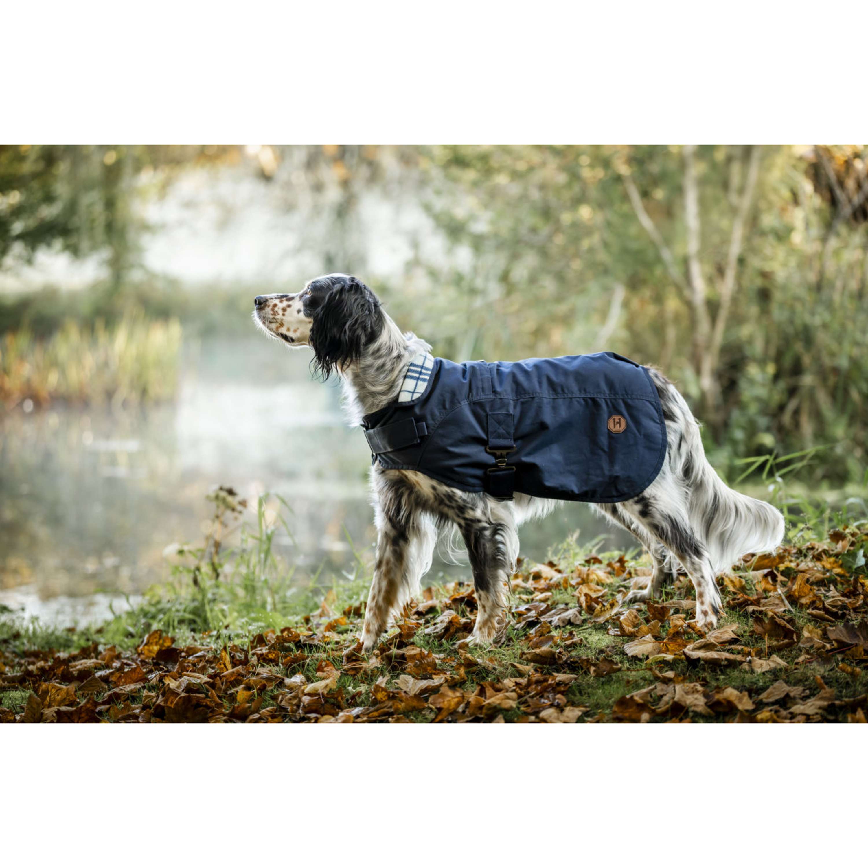 Horseware Cappotto per cani Newmarket Hertitage Navy/Witney Navy