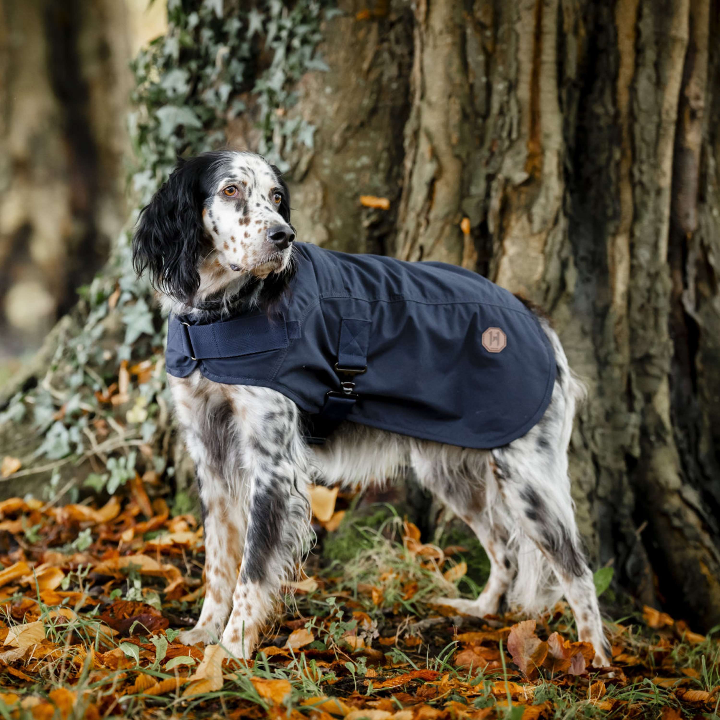 Horseware Cappotto per cani Newmarket Hertitage Navy/Witney Navy