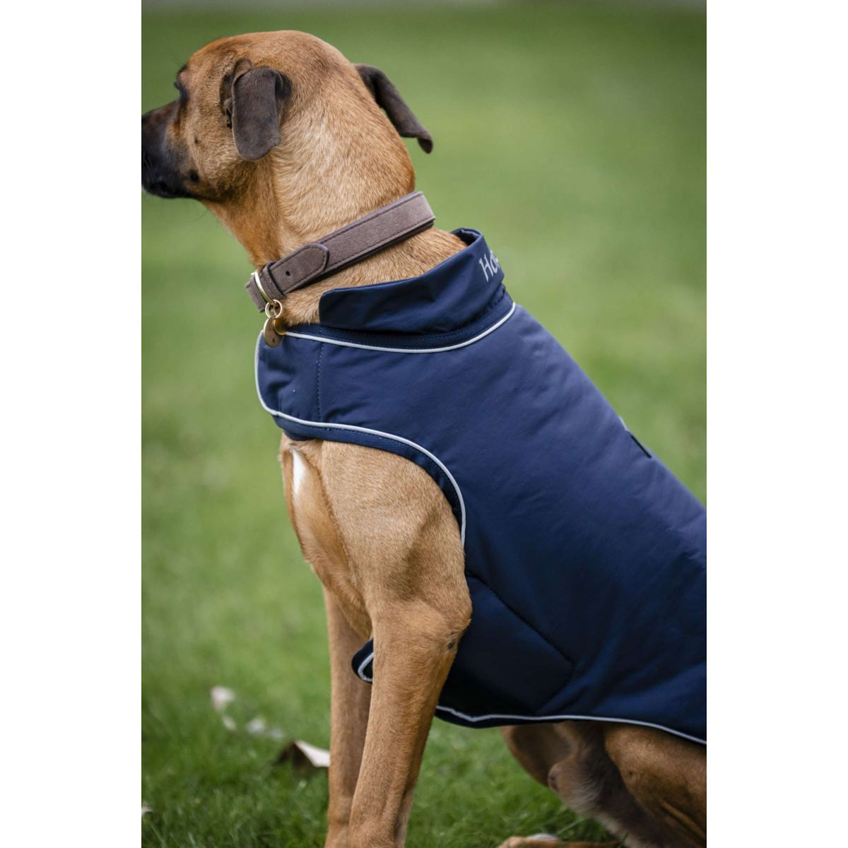 Horseware Impermeabile per Cani Signature 100g Navy