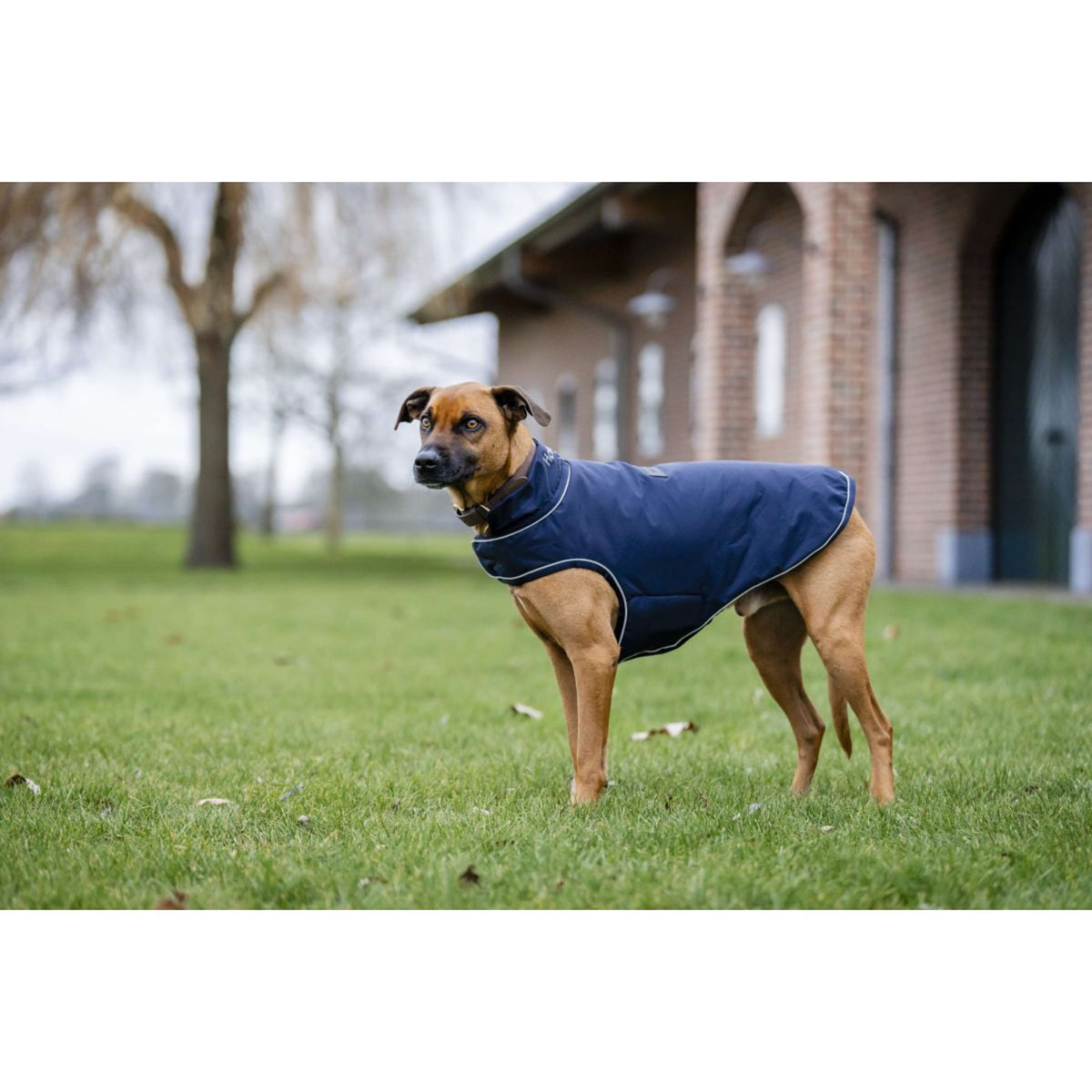 Horseware Impermeabile per Cani Signature 100g Navy