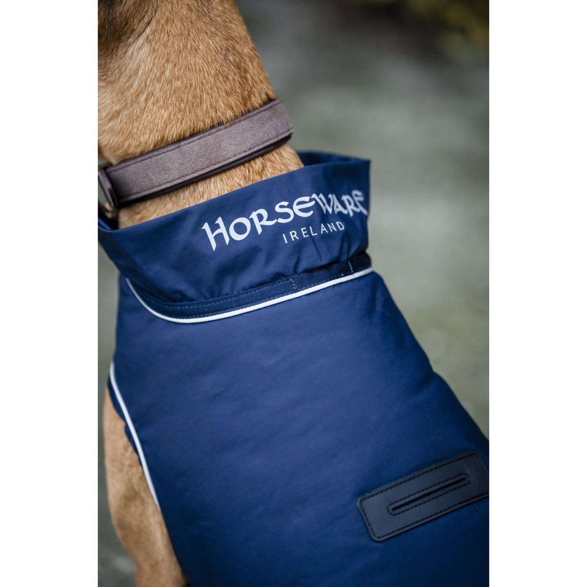 Horseware Impermeabile per Cani Signature 100g Navy