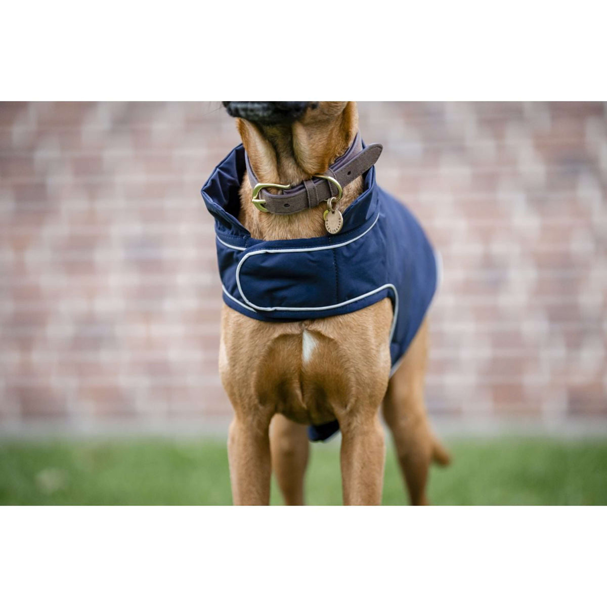 Horseware Impermeabile per Cani Signature 100g Navy