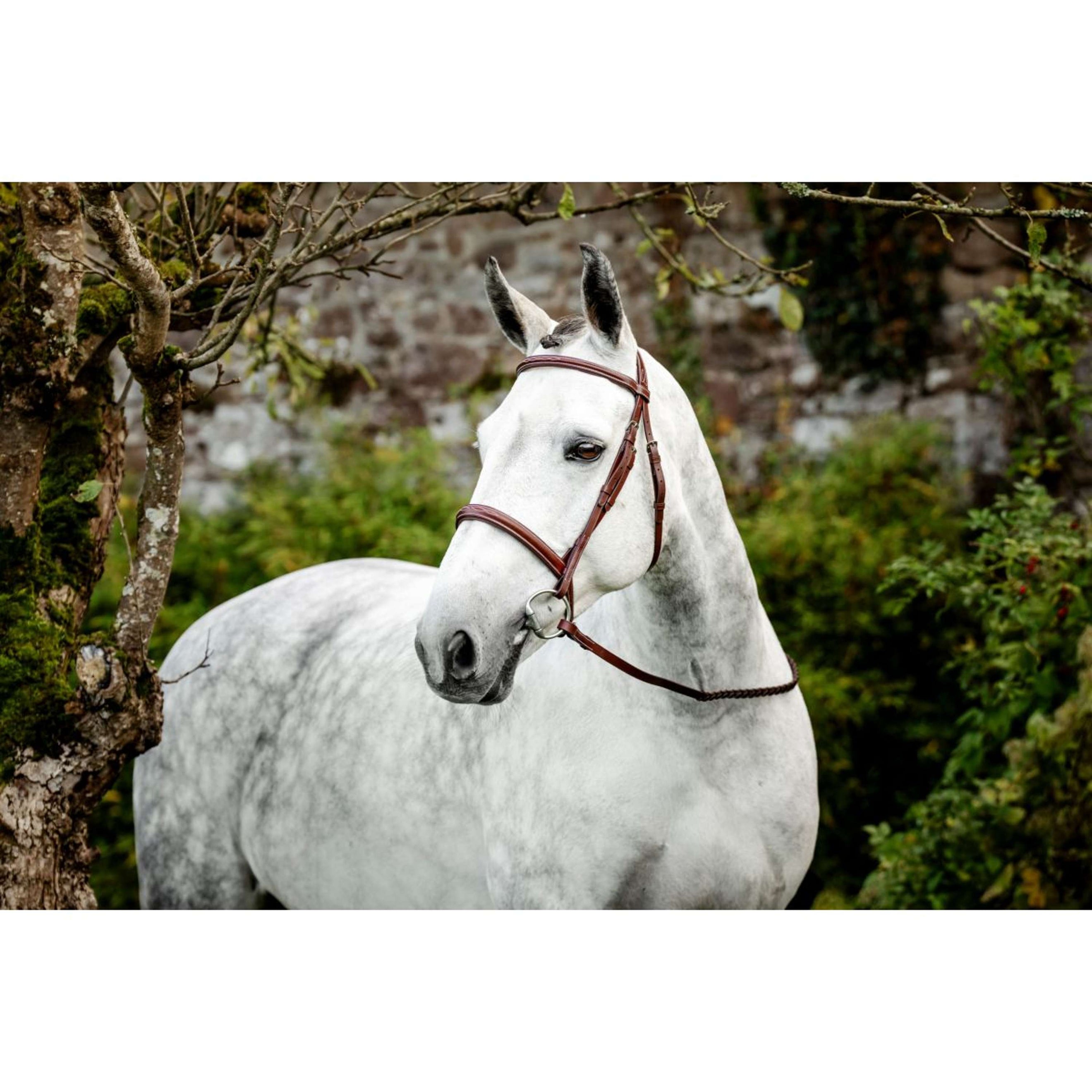 Horseware Briglia Hunter Cavesson con Riens Dark Tan