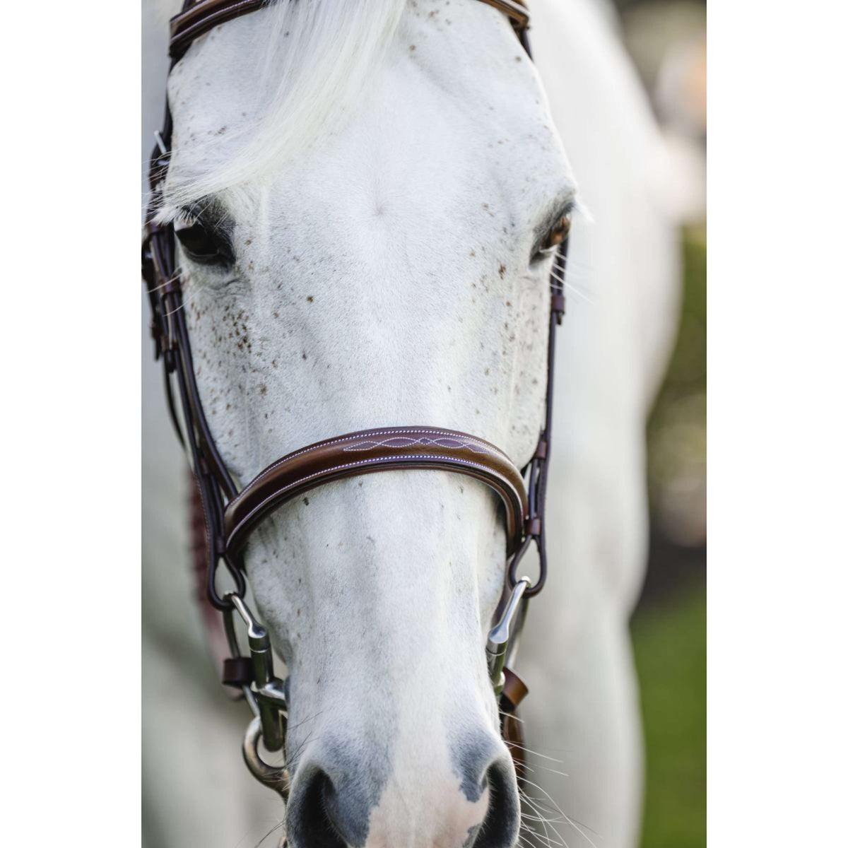 Horseware Briglia Pony Hunter Cavesson con Riens Dark Tan